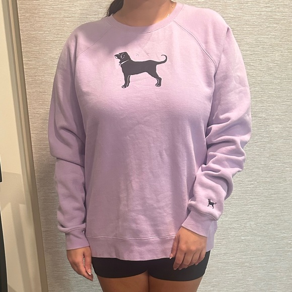 The Black Dog Purple Sweatshirt with Black Dog Logo - Picture 5 of 6